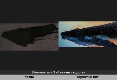 Горбатые кляксы