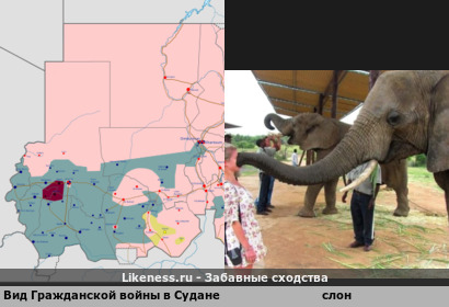 Серый гигант, или поцелуй меня в Омдурман