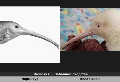 Босху на зависть