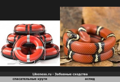 Спасательный уж