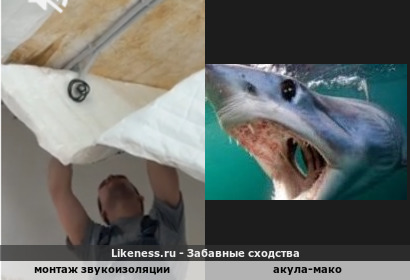 Монтаж звукоизоляции как акула-мако