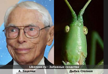 Крупные в своём роде