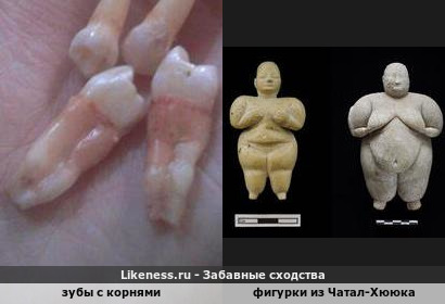 Коренные Круглодиты