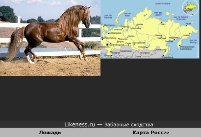 Карта России напоминает лошадь