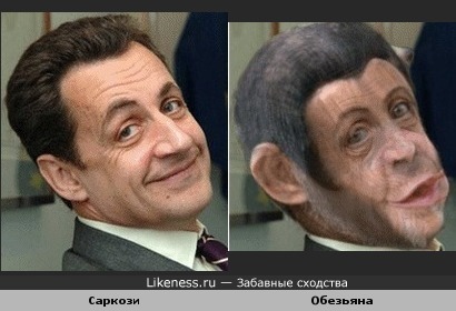 Саркози похож на обезьяну