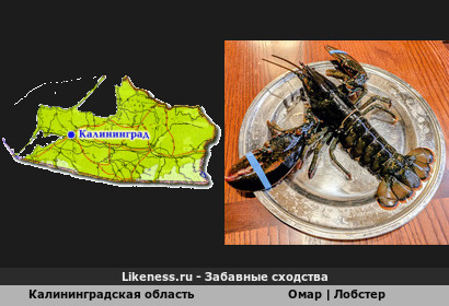 Калининградская область напоминает Европейский омар (Лобстер)
