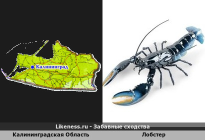 Калининградская Область напоминает Лобстер
