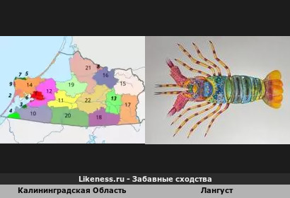 Калининградская Область напоминает Лангуст