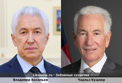 Владимир Васильев похож на Чарльза Кушнера
