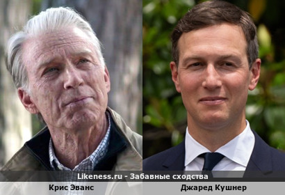 Крис Эванс похож на Джареда Кушнера