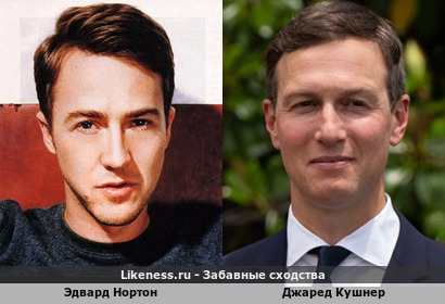 Эдвард Нортон похож на Джареда Кушнера