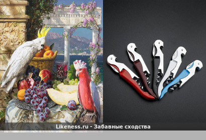 Многофункциональный штопор напоминает "Натюрморт с попугаями" Хамальян Сурен