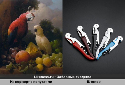 Многофункциональный штопор напоминает "Натюрморт с попугаями" Севрюков Дмитрий