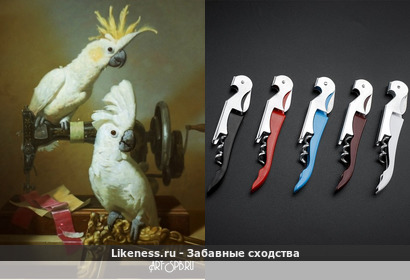 Многофункциональный штопор напоминает "Натюрморт с попугаями" Бейшеев Кемель