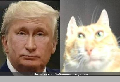 Путин Трамп напоминает Мем &ldquo;Аче всмысле&rdquo;