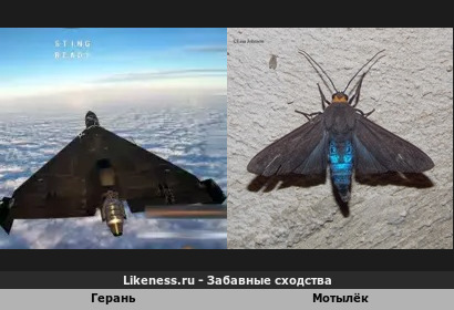 Реактивный беспилотный летательный аппарат напоминает Бабочки Мотыльки