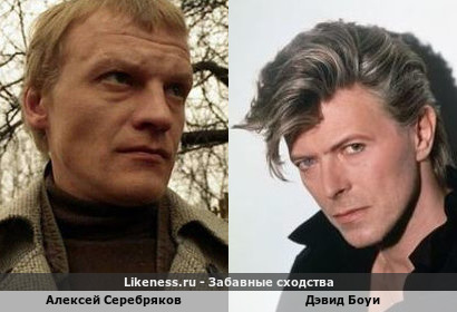 Алексей Серебряков похож на Дэвида Боуи