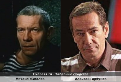 Михаил Жигалов похож на Алексея Горбунова
