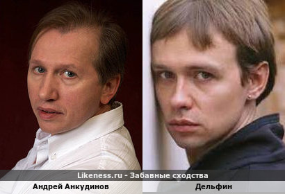 Андрей Анкудинов похож на Дельфина