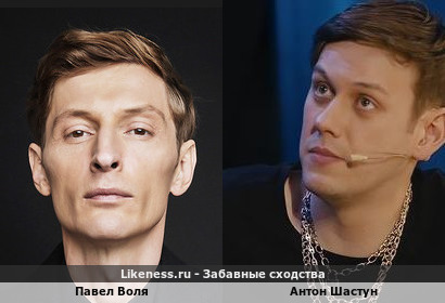 Павел Воля похож на Антона Шастуна