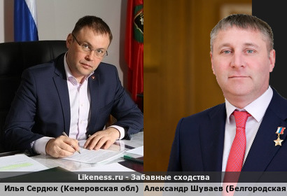 Илья Сердюк (Кемеровская обл) похож на Александра Шуваева (Белгородская обл)
