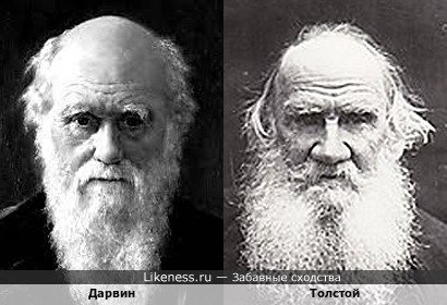 Дарвин похож на Толстого