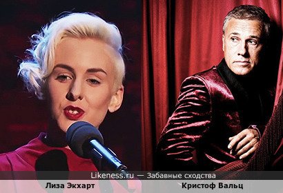Лиза Экхарт похожа на Кристофа Вальца
