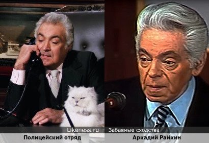 Полицейский отряд напоминает Аркадия Райкина