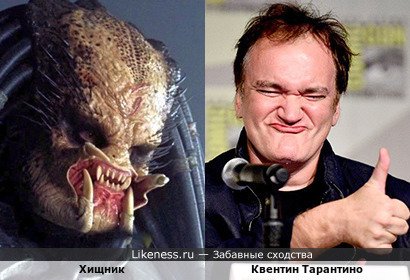 Хищник напоминает Квентина Тарантино