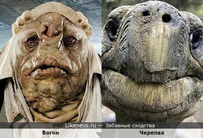 Вогон напоминает Черепаху