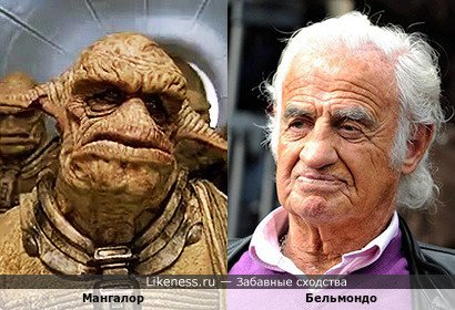 Мангалор похож на Бельмондо