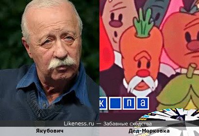 Якубович напоминает дед-Морковку