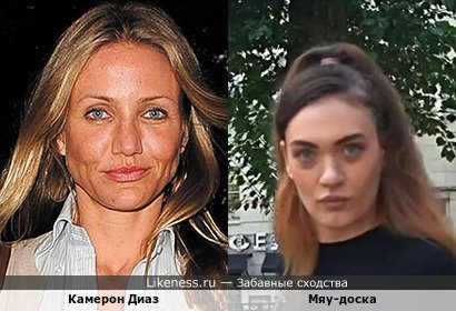 Камерон Диаз напоминает Мяу-доску
