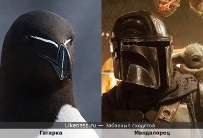 Гагарка напоминает Мандалорца