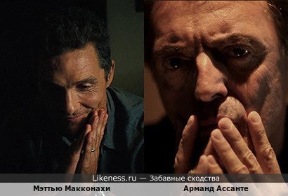 Мэттью Макконахи похож на Арманда Ассанте