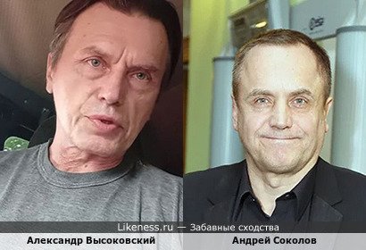 Александр Высоковский похож на Андрея Соколова