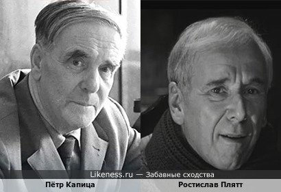 Пётр Капица похож на Ростислава Плятта
