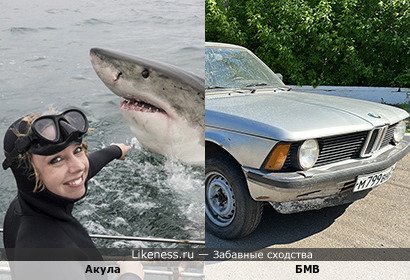 БМВ напоминает Акулу