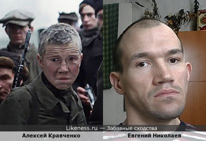 Алексей Кравченко похож на Евгения Николаева