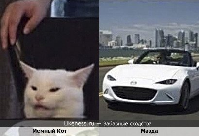Мемный Кот напоминает Мазду