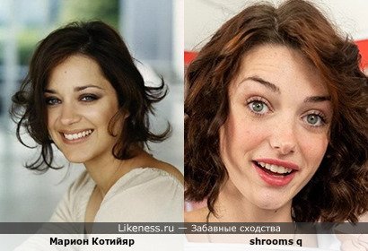 Марион Котийяр напоминает shrooms q