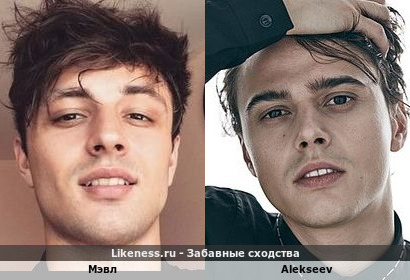 Alekseev и Мэвл похожи друг-друга