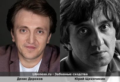 Денис Дорохов похож на Юрия Щекочихина