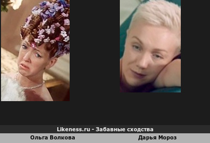 Ольга Волкова похожа на Дарью Мороз