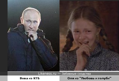 Путин похож на Олю из к/ф &quot;Любовь и голуби&quot;