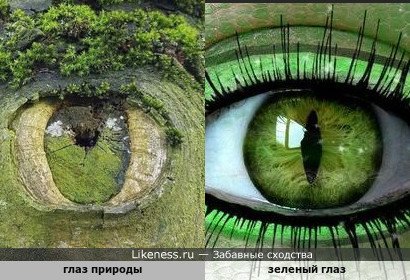 Глаз природы напоминает зеленый глаз