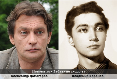 Александр Домогаров похож на Владимира Коренева