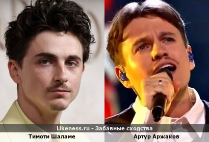 Тимоти Шаламе и Артур Аржаков похожи