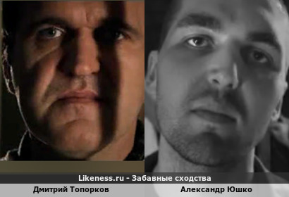 Дмитрий Топорков похож на Александра Юшко