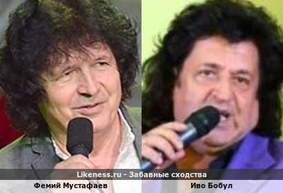 Фемий Мустафаев похож на Иво Бобула